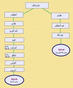 شرف نسب الشافعي.jpg