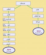 شرف نسب الشافعي.jpg