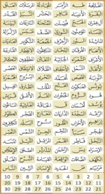 qrn_litle.jpg qrn_litle.jpg