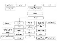 imagesضضضض.jpeg imagesضضضض.jpeg