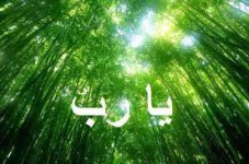 images (5).jpg images (5).jpg