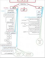 ‏لقطة الشاشة ٢٠&#1.jpg