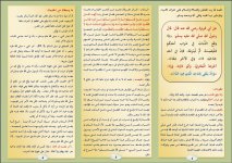 ذباب 1.JPG ذباب 1.JPG