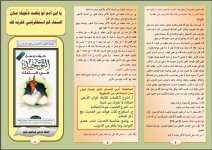 ابن 2.JPG ابن 2.JPG