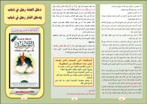 ذباب2.JPG ذباب2.JPG