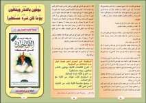 شره 2.JPG شره 2.JPG