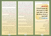 راد 1.JPG راد 1.JPG