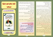 كيف 2.JPG كيف 2.JPG