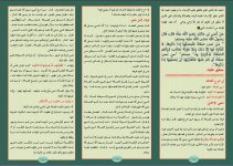 نسي 1.JPG نسي 1.JPG