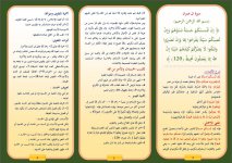 حسنة 1.JPG حسنة 1.JPG