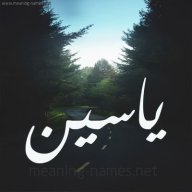 ياسين جبايري